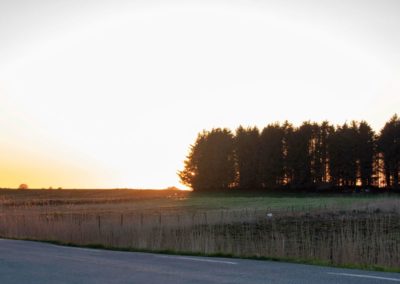 20. Inger Eik - Lyset bak hekken (0 poeng)