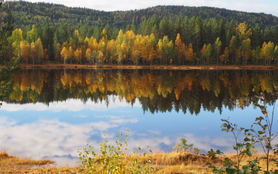 Velkommen til Akrivitetskveld tirsdag 24. september