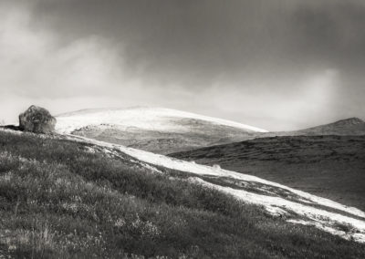 14. Synnøve Grimsrud Solberg - Mere fjell (4 poeng)