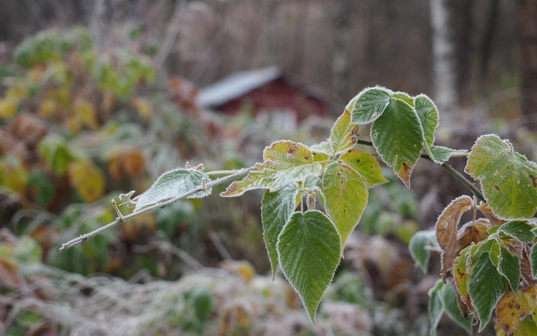 Velkommen til medlemsmøte 5. november