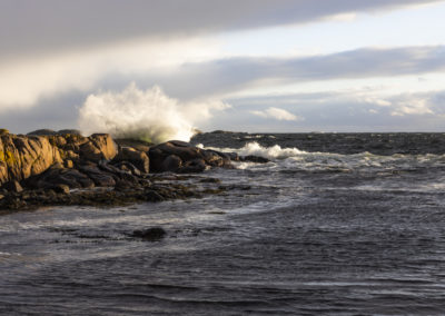 Edle Erøy - Havet bruser