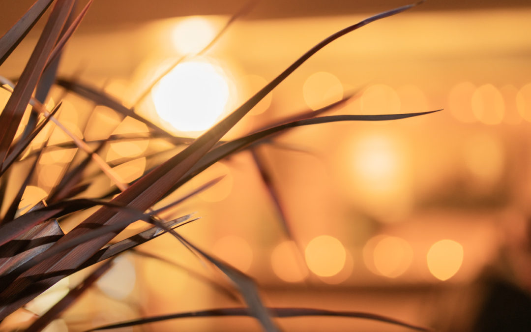 Bokeh tirsdag den 15. oktober – Ny aktivitetskveld.