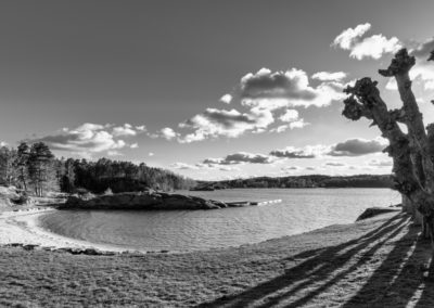 Halvard Berg - Buøya