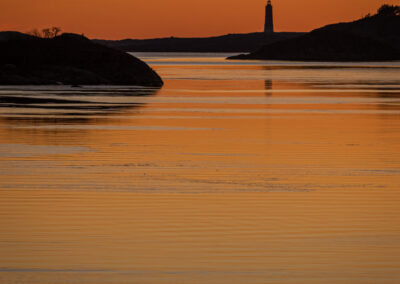 6. Erik Bratlie - Skarv i solnedgang (13 poeng)