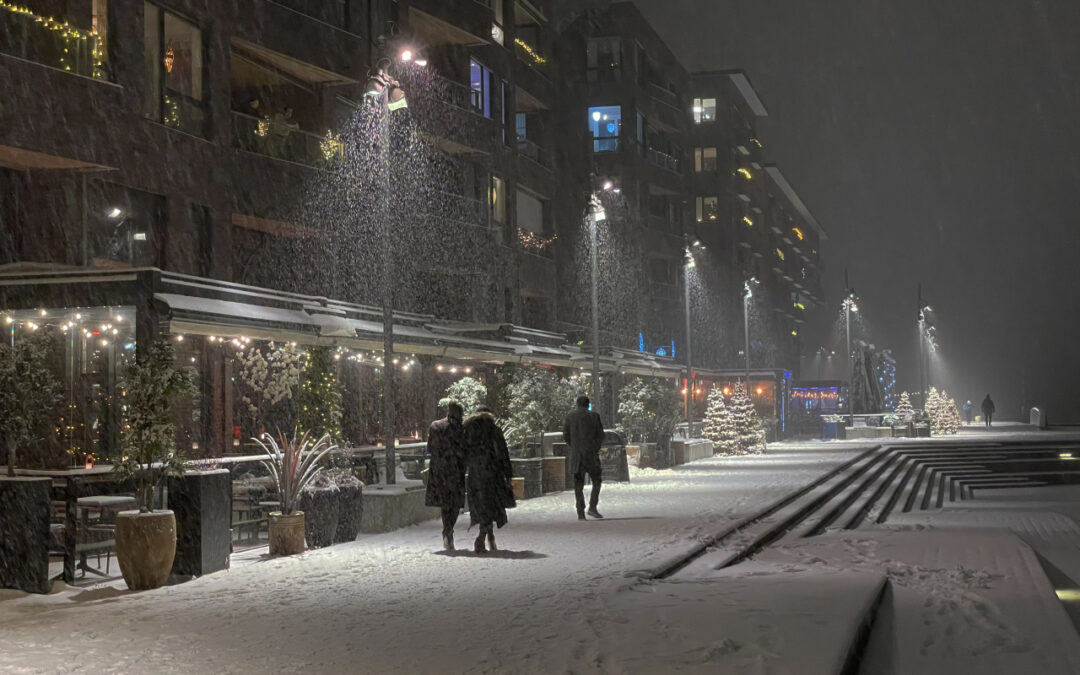 3. Arvid Løite - Vinter i Oslo (19 poeng)