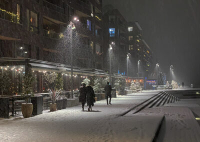 3. Arvid Løite - Vinter i Oslo (19 poeng)