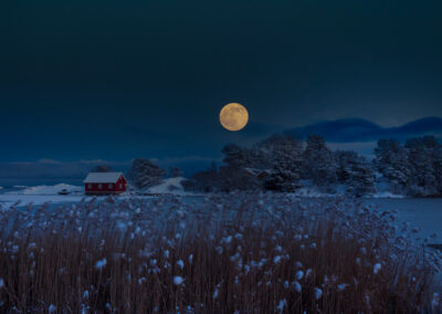 1. Siv Bente Ulvestad - Winter Wonderland (41 poeng)