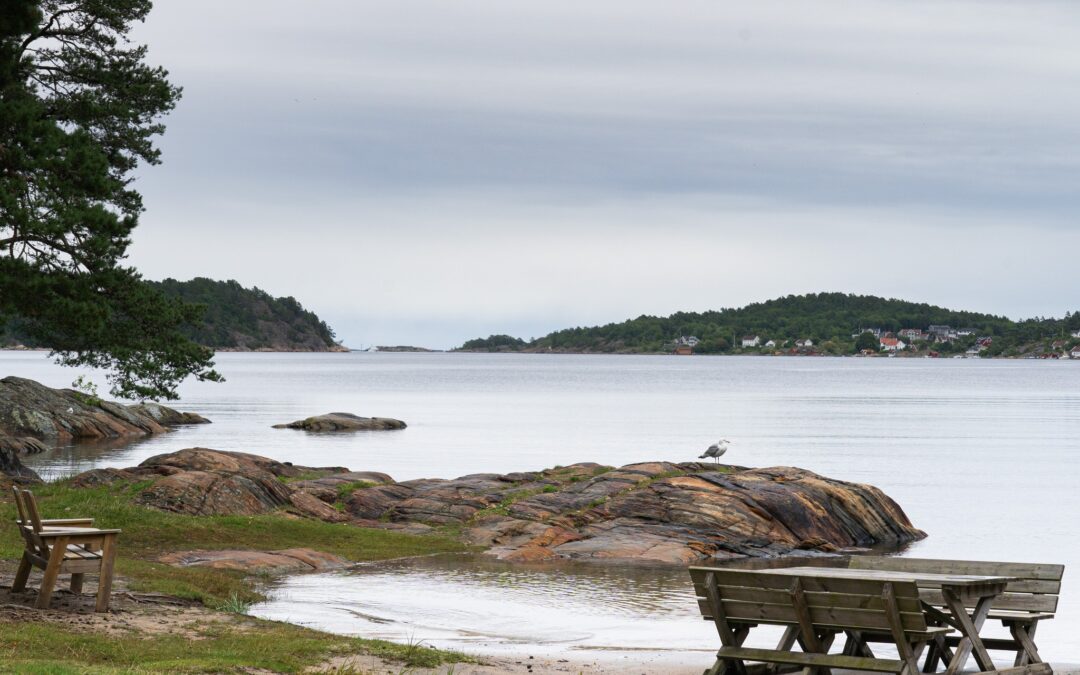 Høstens første aktivitetskveld: Tirsdag 22. august!