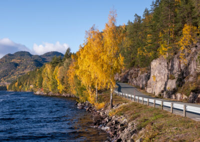 Linda Walbeck Olsen - Høstveien