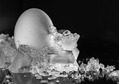 7. Anne Gjertrud Halberg - Frosty eggs (11 poeng)