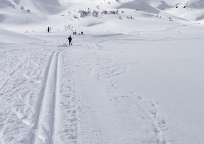 Helge Aker - Skispor