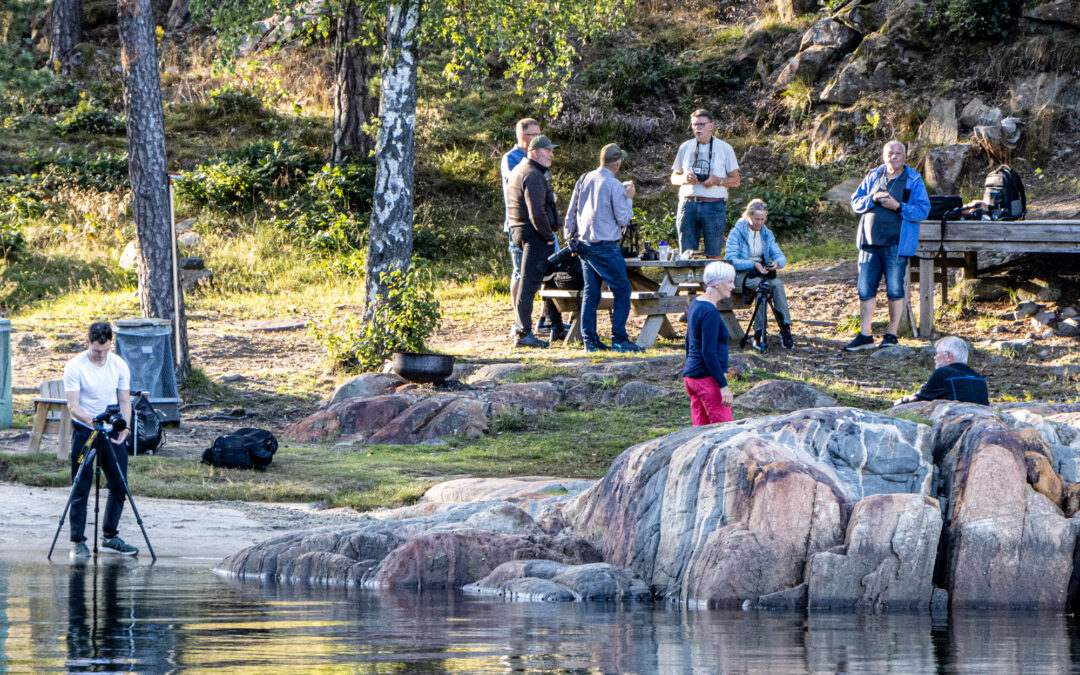 Aktivitetskveld den 21.5.24 på Dømmesmoen