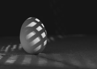 7. Anne Gjertrud Halberg - Egg i skygge (12 poeng)