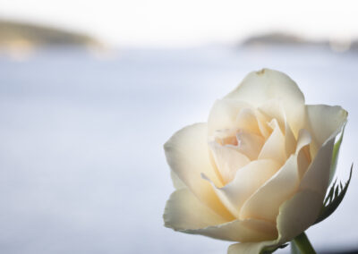 7. Arvid Løite - Enslig Rose (10 poeng)