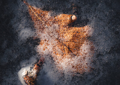 Tor Undhjem - Frozen oak leaf