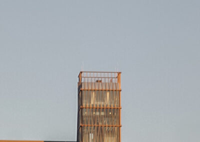 Mariusz Redlich - Golden hour