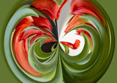 1. Inger Eik - Tulips (92 poeng)