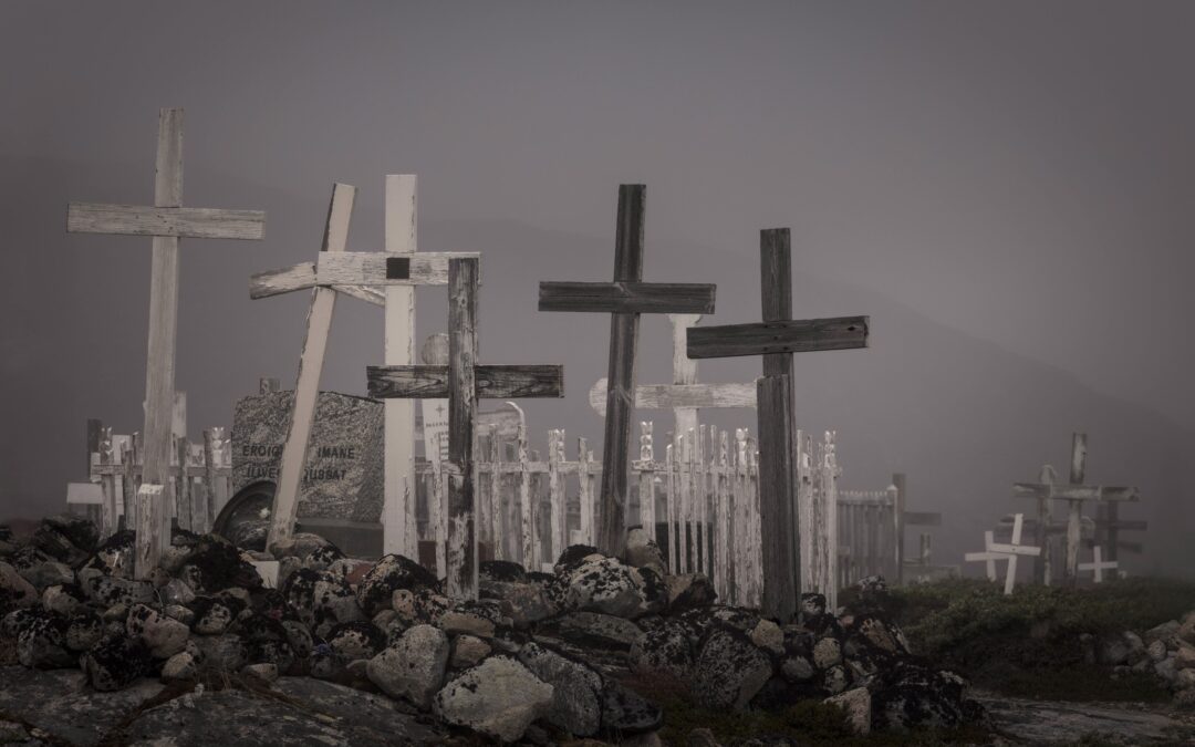 Månedens bilde, august 2025