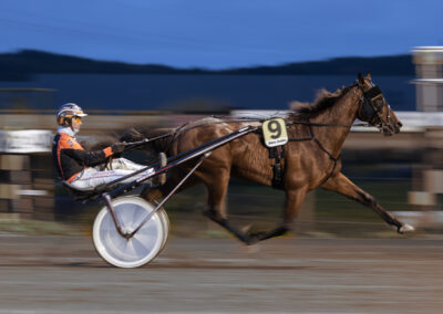 2. Karina Aanonsen - Travløp (98 poeng)