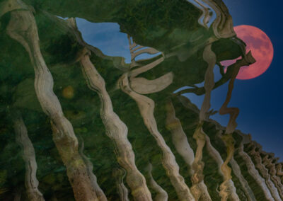 Siv Bente Ulvestad - The moon and the brew under water