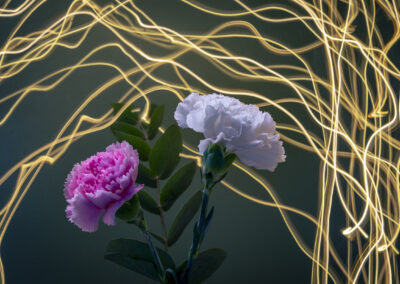 Alf Richard Talsethagen - Yellow Rain