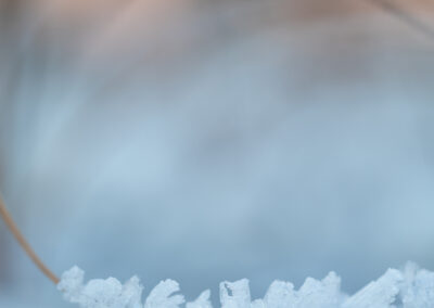 12. Edle Erøy - Vintermorgen (84 poeng)