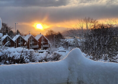 Else Marie Hollingsæter Tømmerbakk - Vinter
