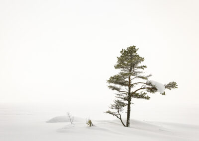 10. Erik Bratlie - Olas tre (88 poeng)