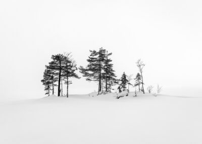 5. Erik Bratlie - Skattøya (94 poeng)