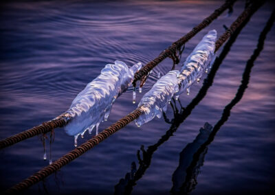 6. Harald Theodor Rosenvinge - Refleks (92 poeng)