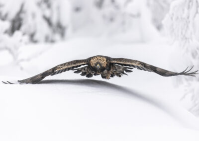 1. Kåre Hansen - Lavt over snødekt mark. (108 poeng)