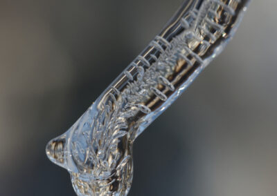 Magrete Martens Breivik - Ornament