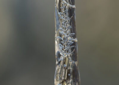 Magrete Martens Breivik - Solglimt