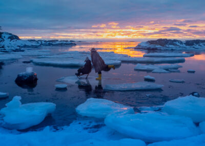 6. Siv Bente Ulvestad - Frozen (92 poeng)